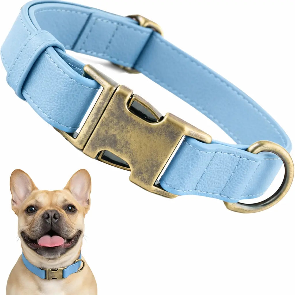 Waterproof Dog Collar That Doesn'T Smell Soft Silicone with Strong Metal Buckle
