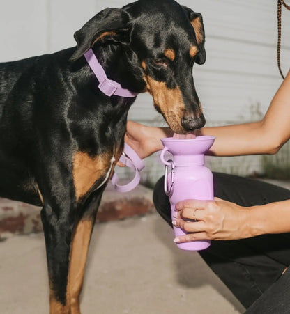 22Oz Original Travel Dog Water Bottle