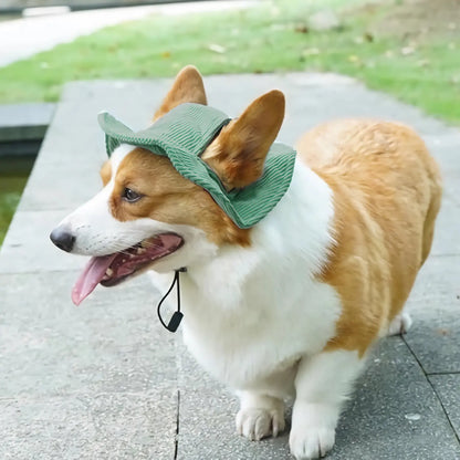 Cute Corduroy Pet Hat with Ear Holes, Outdoor Sun Protection Pet Hat, Pet Supplies for Small Medium Large Dogs & Cats