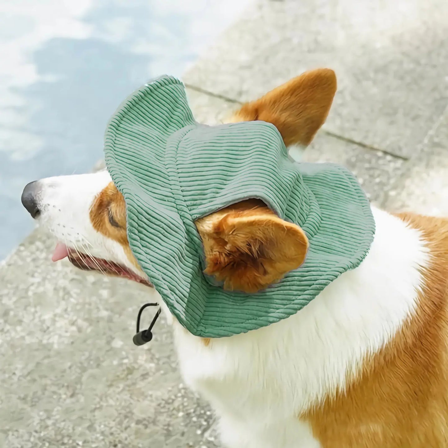 Cute Corduroy Pet Hat with Ear Holes, Outdoor Sun Protection Pet Hat, Pet Supplies for Small Medium Large Dogs & Cats