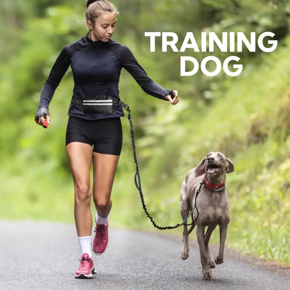 Hands-Free Dog Leash, Elastic Strengthened, Ideal for Running, Walking, Training, Hiking, Durable Dual Handle Waist Belt, Reflective Bungee