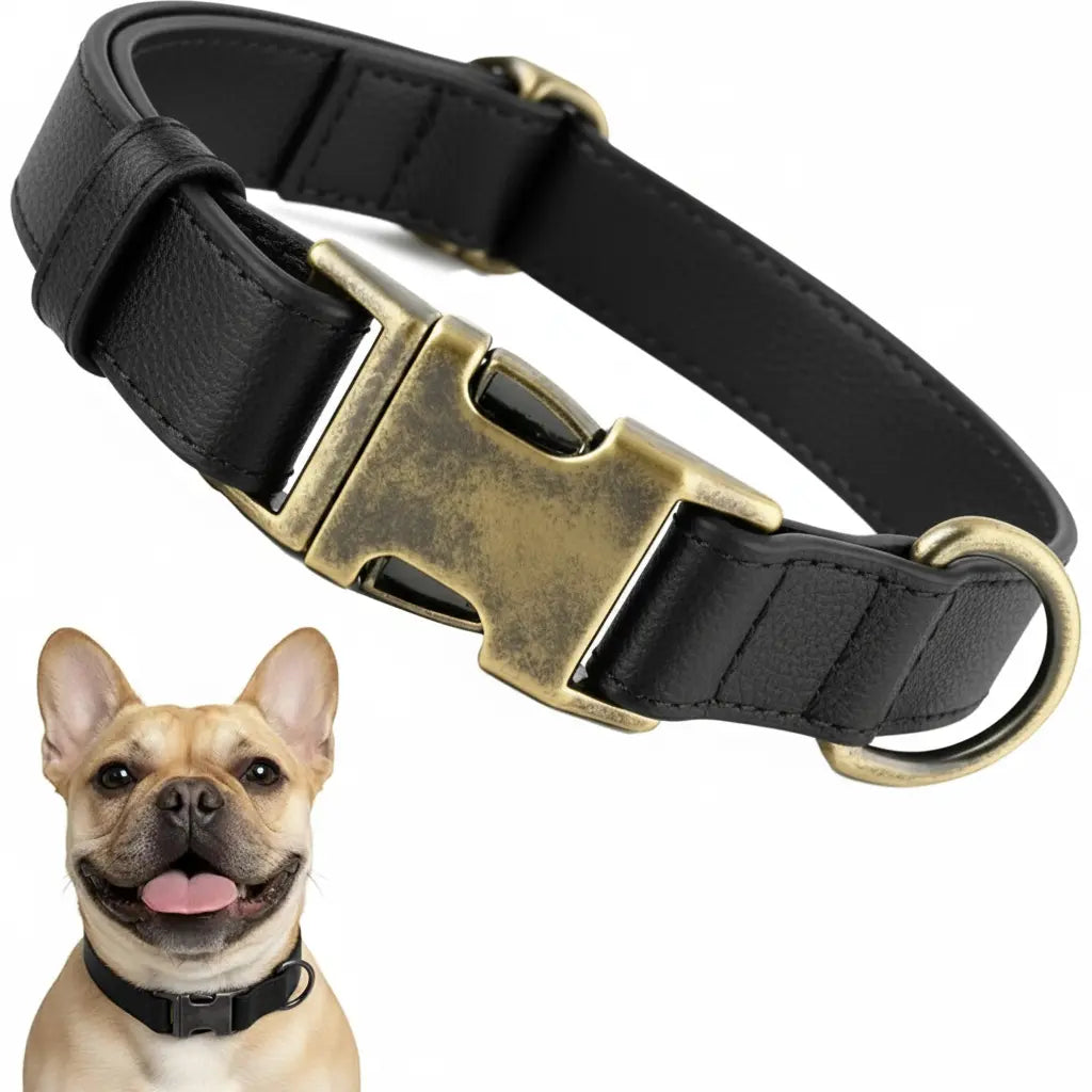 Waterproof Dog Collar That Doesn'T Smell Soft Silicone with Strong Metal Buckle