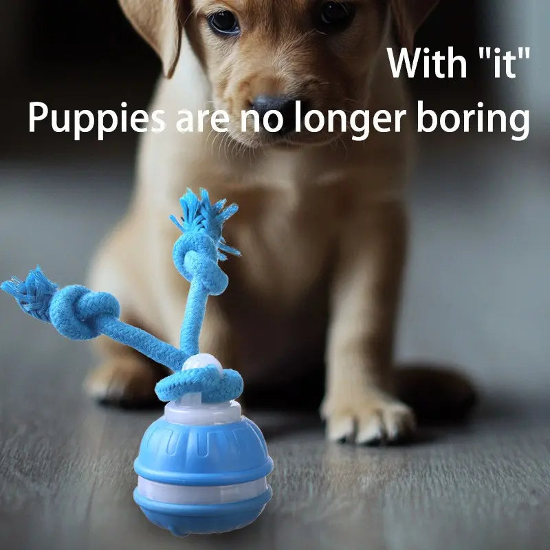 Smart Rolling Ball Toy for Dogs - Electric Indoor Training Ball for Pet Stimulation and Engagement, Durable Bite-Resistant Design for Boredom Relief