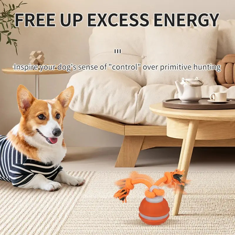 Smart Rolling Ball Toy for Dogs - Electric Indoor Training Ball for Pet Stimulation and Engagement, Durable Bite-Resistant Design for Boredom Relief