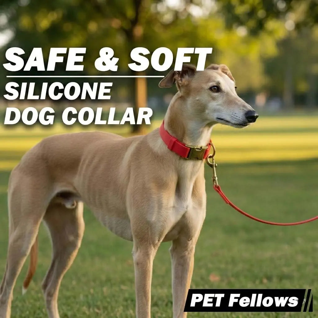 Waterproof Dog Collar That Doesn'T Smell Soft Silicone with Strong Metal Buckle