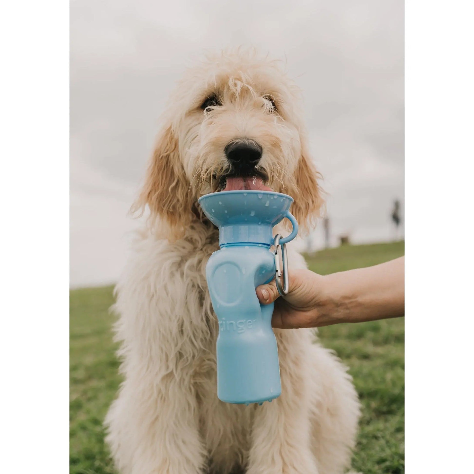 22Oz Original Travel Dog Water Bottle