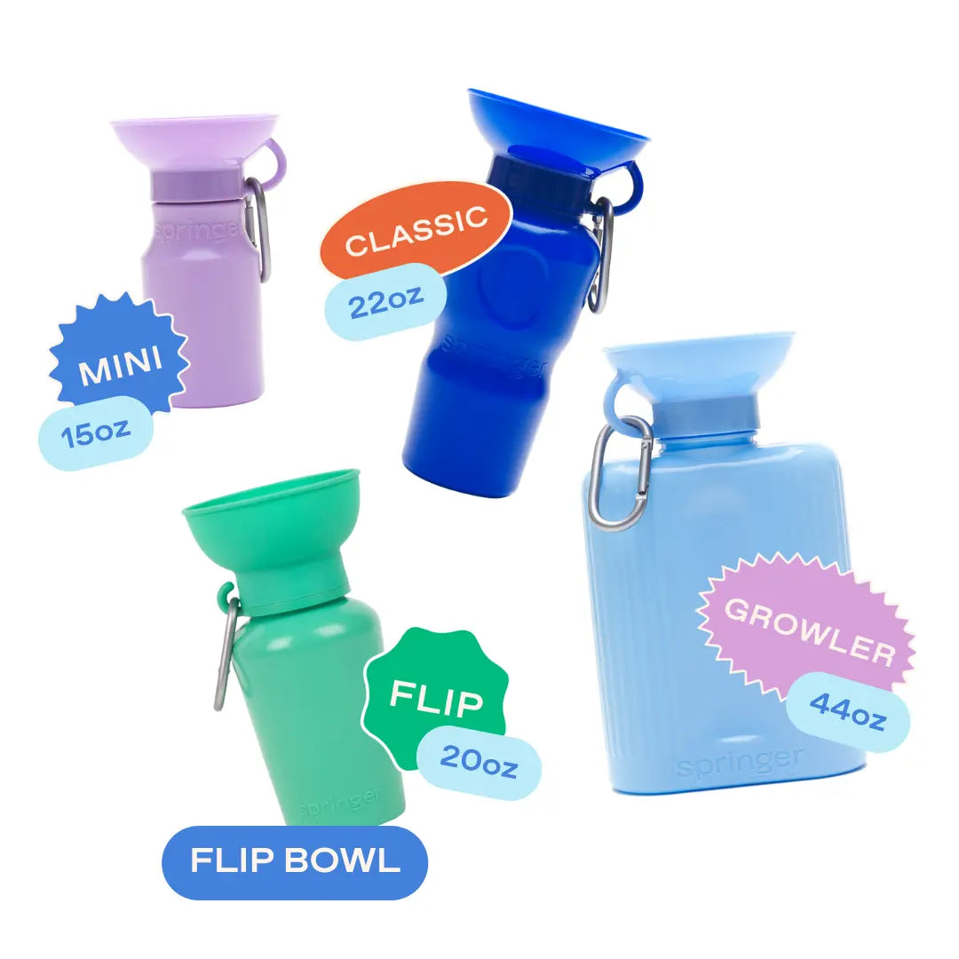 22Oz Original Travel Dog Water Bottle