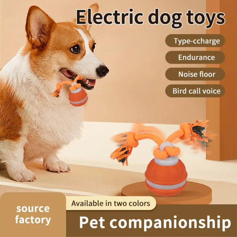 Smart Rolling Ball Toy for Dogs - Electric Indoor Training Ball for Pet Stimulation and Engagement, Durable Bite-Resistant Design for Boredom Relief