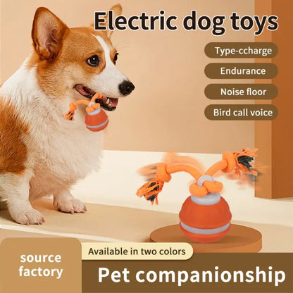 Smart Rolling Ball Toy for Dogs - Electric Indoor Training Ball for Pet Stimulation and Engagement, Durable Bite-Resistant Design for Boredom Relief