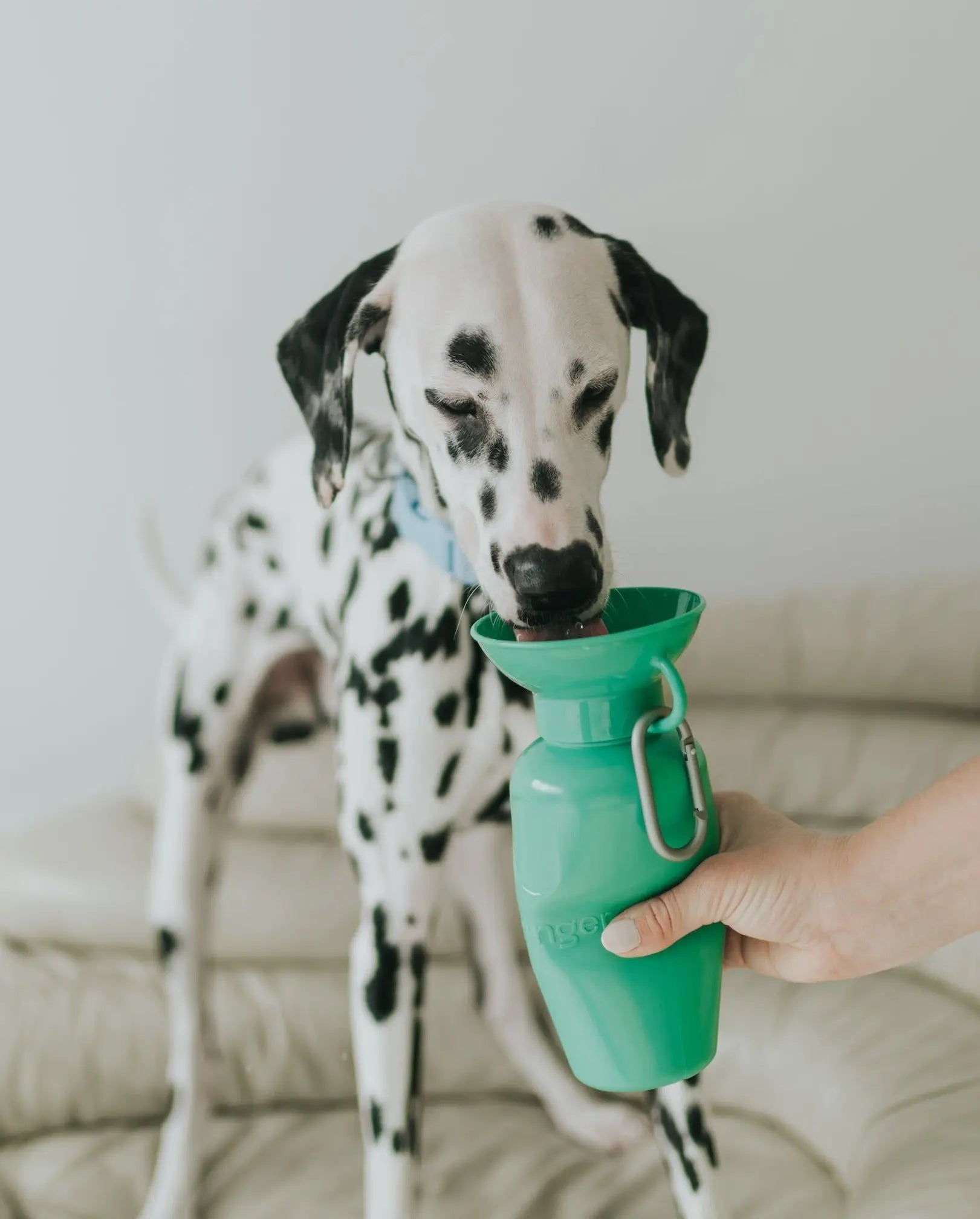 22Oz Original Travel Dog Water Bottle